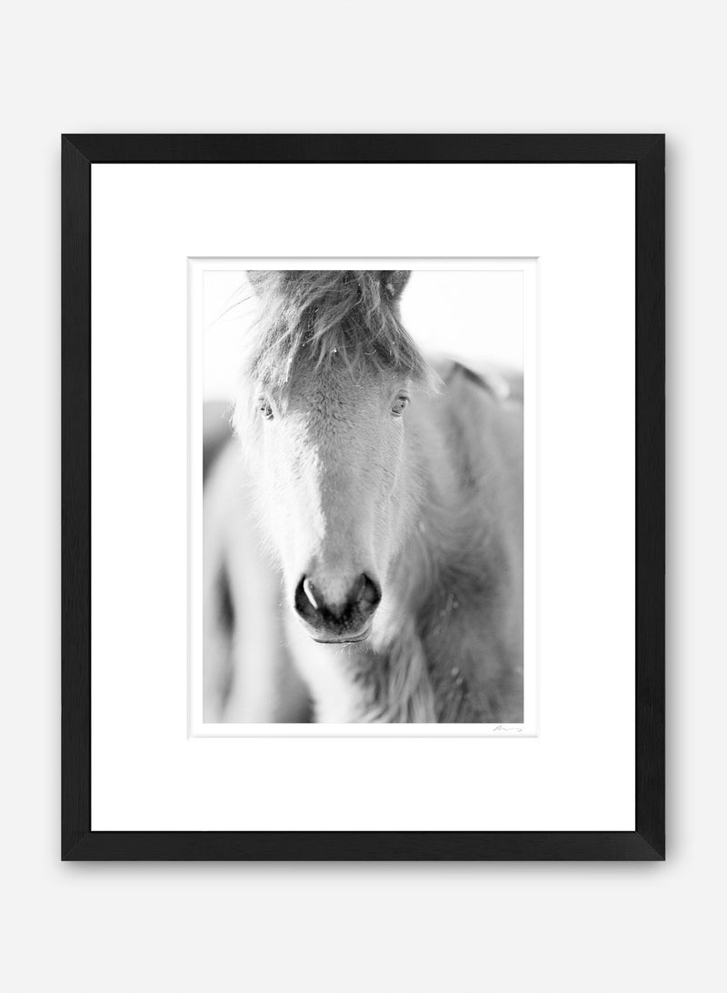 Innocent Eyes KT Merry Fine Art Innocent eyes kt merry fine art